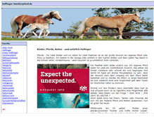 Tablet Screenshot of haflinger-familienpferd.de
